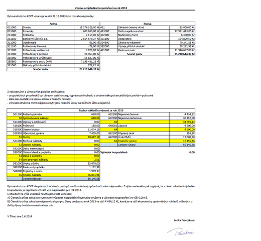 BD KOPT - Zpráva o výsledku hospodaření za rok 2013